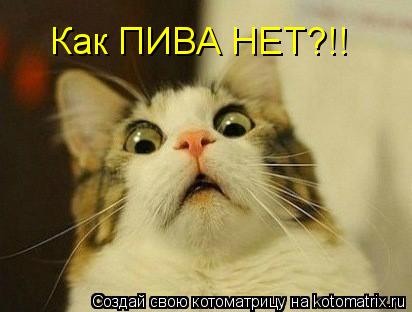 Как ПИВА НЕТ?!!... Котоматрица: Как ПИВА НЕТ?!!
