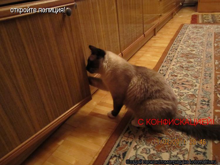 откройте полиция! С КОНФИСКАЦИЕЙ!... Котоматрица: откройте полиция! С КОНФИСКАЦИЕЙ!
