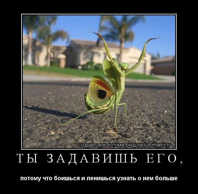 ты задавишь его, потому что боишься и ленишься узнать о нем больше... Котоматрица: ты задавишь его, потому что боишься и ленишься узнать о нем больше