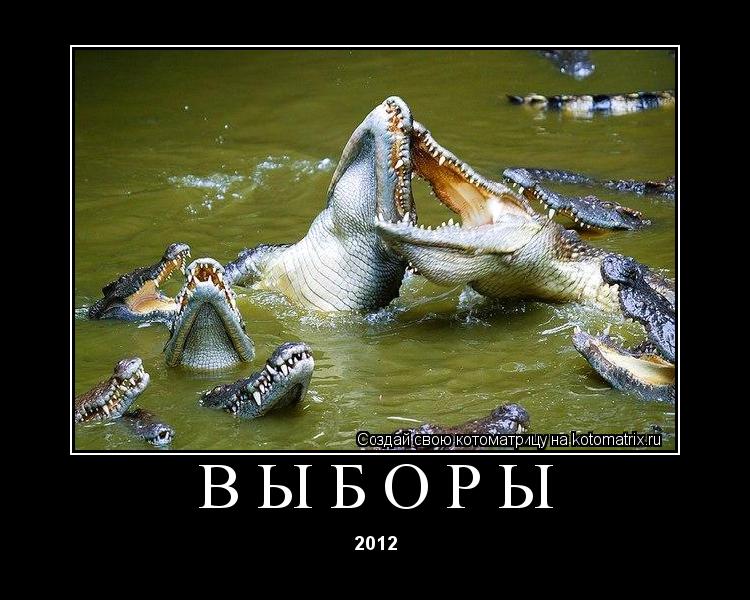 Котоматрица: выборы 2012