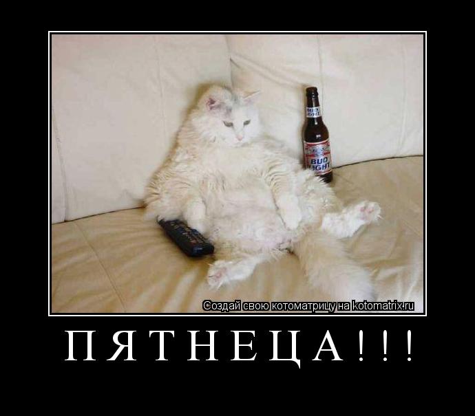 Пятнеца!!! ... Котоматрица: Пятнеца!!!