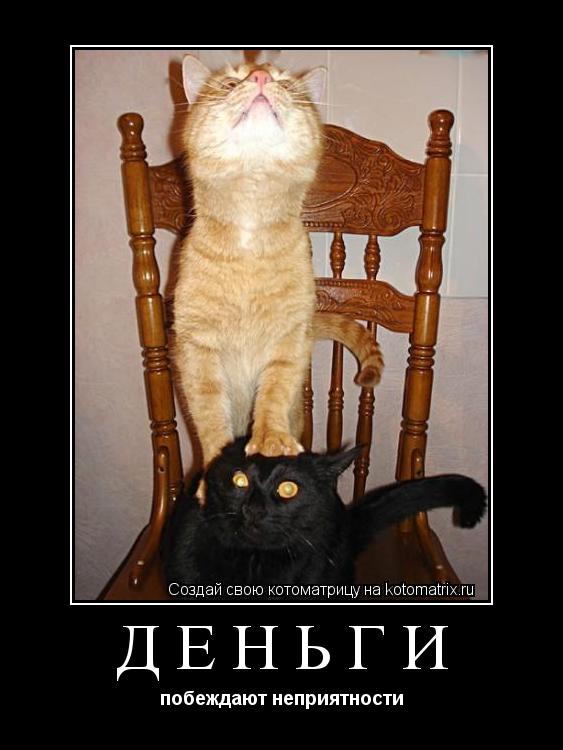 деньги побеждают неприятности... Котоматрица: деньги побеждают неприятности