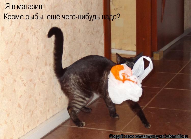 Я в магазин! Кроме рыбы, ещё чего-нибудь надо?... Котоматрица: Я в магазин! Кроме рыбы, ещё чего-нибудь надо?