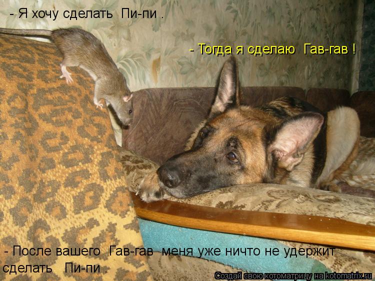 - Тогда я сделаю «Гав-гав»! сделать «Пи-пи». - После вашего «Гав-гав» меня уже ничто не удержит - Я ... Котоматрица: - Тогда я сделаю «Гав-гав»! сделать «Пи-пи». - После вашего «Гав-гав» меня уже ничто не удержит - Я хочу сделать «Пи-пи».