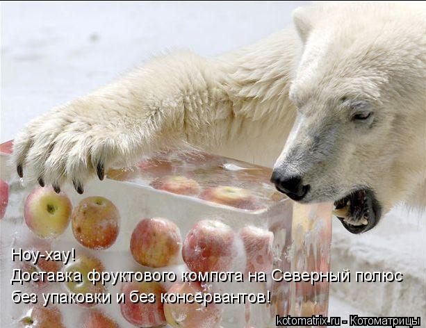 Котоматрица: Ноу-хау! Доставка фруктового компота на Северный полюс без упаковки и без консервантов!