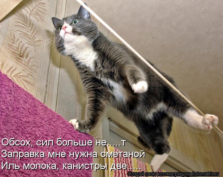 Заправка мне нужна сметаной Иль молока, канистры две..... Обсох, сил больше не.....т... Котоматрица: Заправка мне нужна сметаной Иль молока, канистры две..... Обсох, сил больше не.....т
