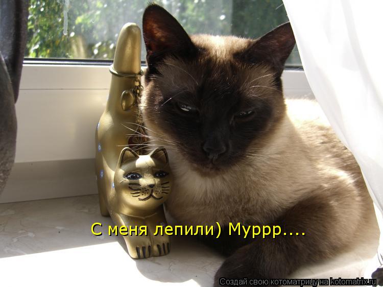 Котоматрица: С меня лепили) Муррр....