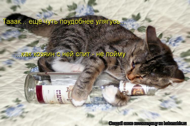 Котоматрица: Тааак... ещё чуть поудобнее улягусь...  ...как хозяин с ней спит - не пойму  ...как хозяин с ней спит - не пойму