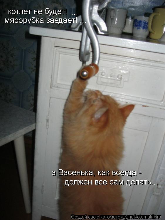 Котоматрица: котлет не будет! ... мясорубка заедает! ... должен все сам делать... а Васенька, как всегда -