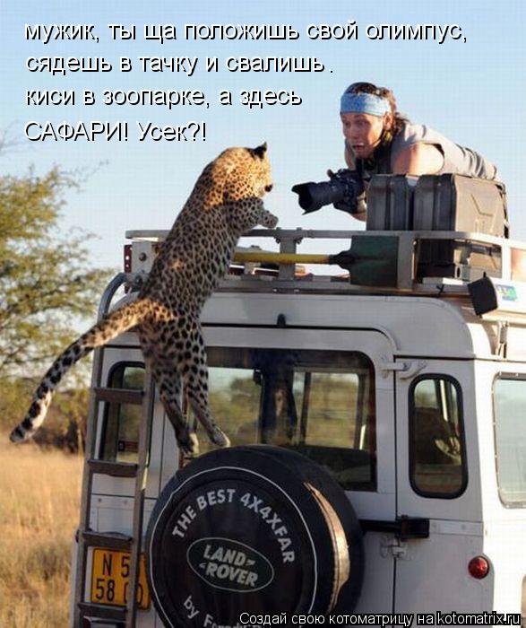 мужик, ты ща положишь свой олимпус, сядешь в тачку и свалишь киси в зоопарке, а здесь САФАРИ! Усек?!... Котоматрица: мужик, ты ща положишь свой олимпус, сядешь в тачку и свалишь киси в зоопарке, а здесь САФАРИ! Усек?! .