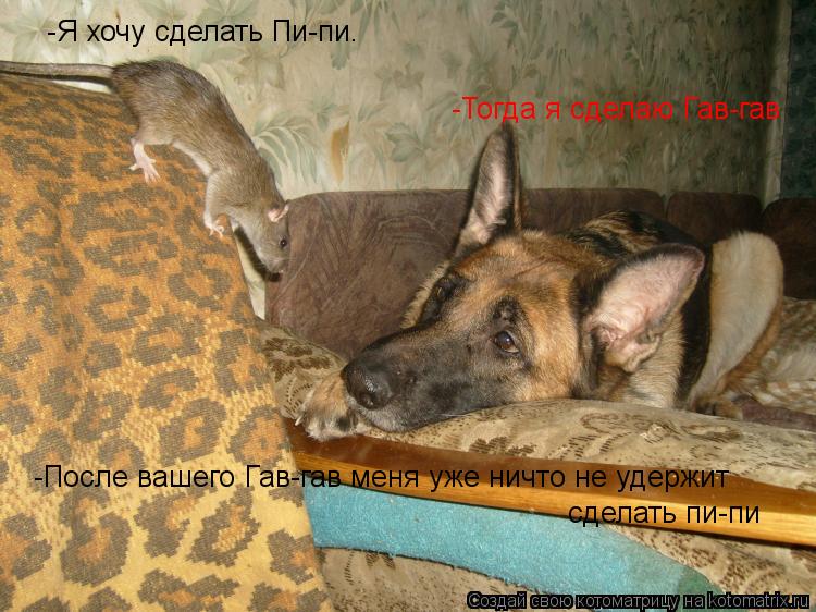 -Я хочу сделать Пи-пи. -Тогда я сделаю Гав-гав -После вашего Гав-гав меня уже ничто не удержит сдела... Котоматрица: -Я хочу сделать Пи-пи. -Тогда я сделаю Гав-гав -После вашего Гав-гав меня уже ничто не удержит сделать пи-пи