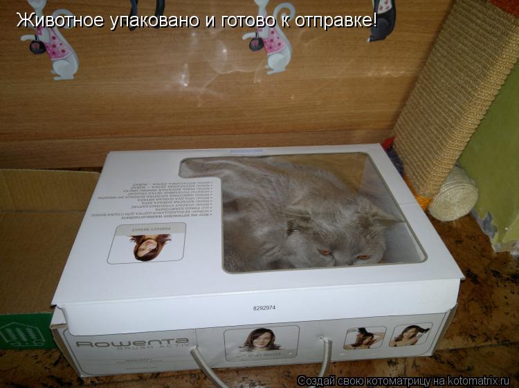Животное упаковано и готово к отправке!... Котоматрица: Животное упаковано и готово к отправке!