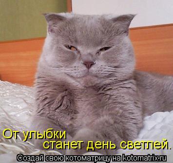 От улыбки станет день светлей...... Котоматрица: От улыбки станет день светлей...