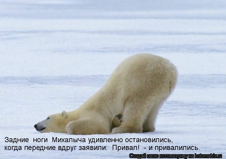 Задние «ноги» Михалыча удивленно остановились, когда передние вдруг заявили: «Привал!» - и привалили... Котоматрица: Задние «ноги» Михалыча удивленно остановились, когда передние вдруг заявили: «Привал!» - и привалились…