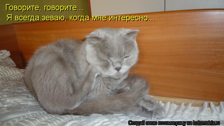 Говорите, говорите... Я всегда зеваю, когда мне интересно...... Котоматрица: Говорите, говорите... Я всегда зеваю, когда мне интересно...