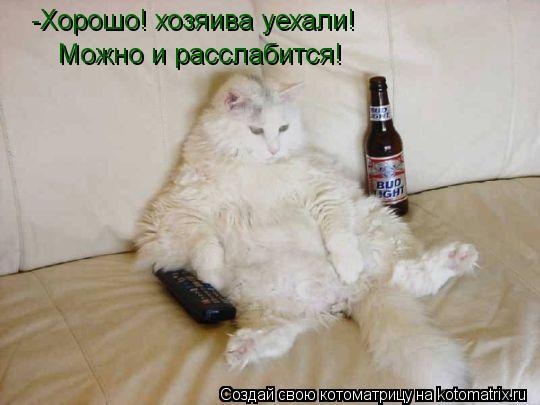 -Хорошо! хозяива уехали! Можно и расслабится!... Котоматрица: -Хорошо! хозяива уехали! Можно и расслабится!