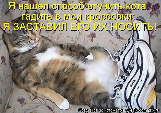 Я нашел способ отучить кота гадить в мои кроссовки: Я ЗАСТАВИЛ ЕГО ИХ НОСИТЬ!... Котоматрица: Я нашел способ отучить кота гадить в мои кроссовки: Я ЗАСТАВИЛ ЕГО ИХ НОСИТЬ!