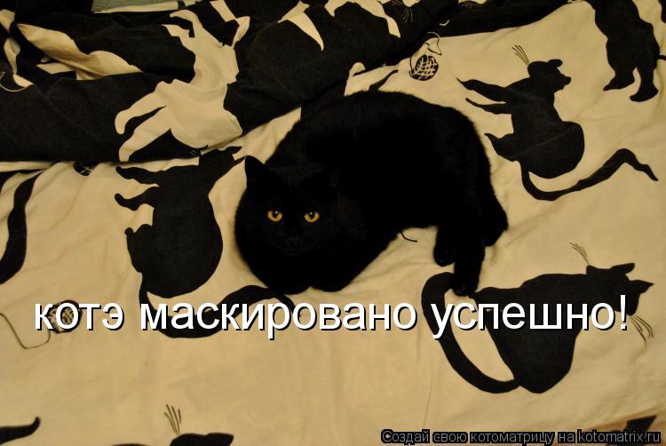 котэ маскировано успешно!... Котоматрица: котэ маскировано успешно!