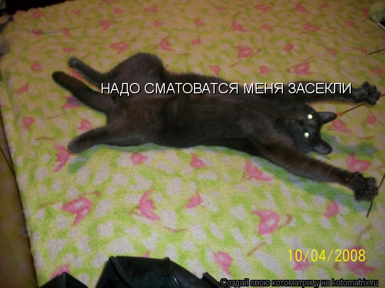НАДО СМАТОВАТСЯ МЕНЯ ЗАСЕКЛИ... Котоматрица: НАДО СМАТОВАТСЯ МЕНЯ ЗАСЕКЛИ