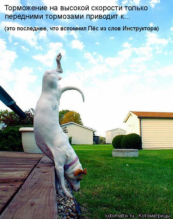 Торможение на высокой скорости только передними тормозами приводит к... (это последнее, что вспомни... Котоматрица: Торможение на высокой скорости только передними тормозами приводит к... (это последнее, что вспомнил Пёс из слов Инструктора)