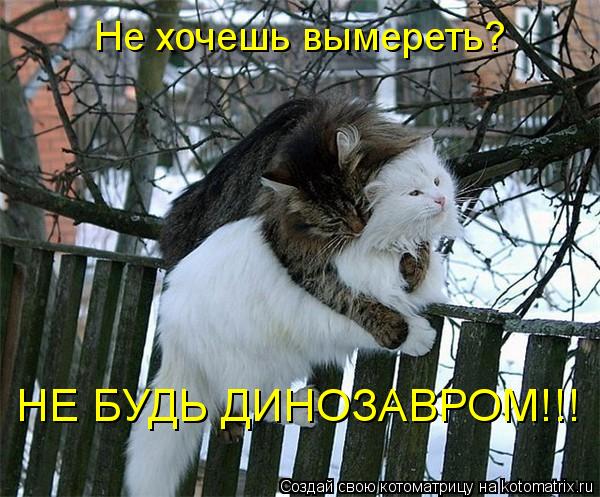 Не хочешь вымереть? НЕ БУДЬ ДИНОЗАВРОМ!!!... Котоматрица: Не хочешь вымереть? НЕ БУДЬ ДИНОЗАВРОМ!!!