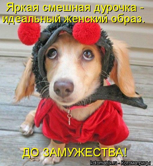 Яркая смешная дурочка - идеальный женский образ. ДО ЗАМУЖЕСТВА!... Котоматрица: Яркая смешная дурочка - идеальный женский образ. ДО ЗАМУЖЕСТВА!