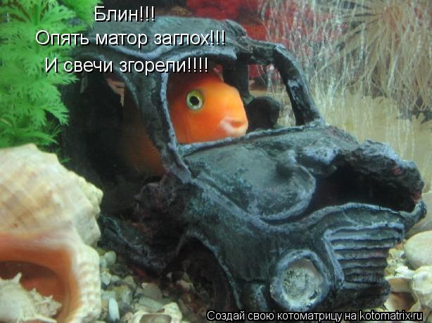 Блин!!! Опять матор заглох!!! И свечи згорели!!!!... Котоматрица: Блин!!! Опять матор заглох!!! И свечи згорели!!!!