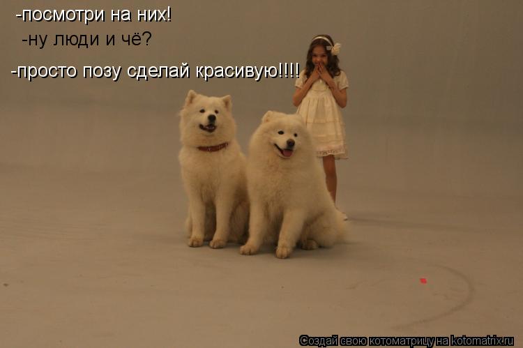 -посмотри на них! -ну люди и чё? -просто позу сделай красивую!!!!... Котоматрица: -посмотри на них! -ну люди и чё? -просто позу сделай красивую!!!!
