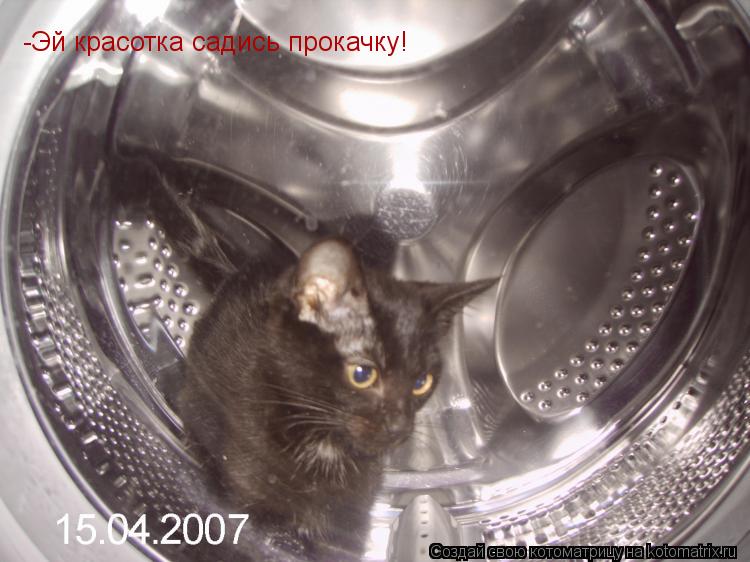 -Эй красотка садись прокачку!... Котоматрица: -Эй красотка садись прокачку!