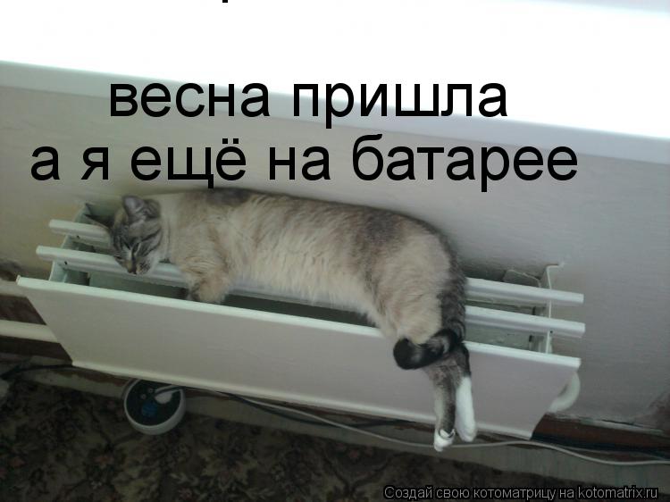 весна пришла весна пришла а я ещё на батарее... Котоматрица: весна пришла весна пришла а я ещё на батарее