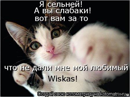 Я сельней! А вы слабаки! вот вам за то что не дали мне мой любимый Wiskas!... Котоматрица: Я сельней! А вы слабаки! вот вам за то что не дали мне мой любимый Wiskas!