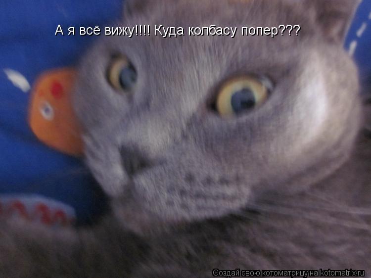 А я всё вижу!!!! Куда колбасу попер???... Котоматрица: А я всё вижу!!!! Куда колбасу попер???