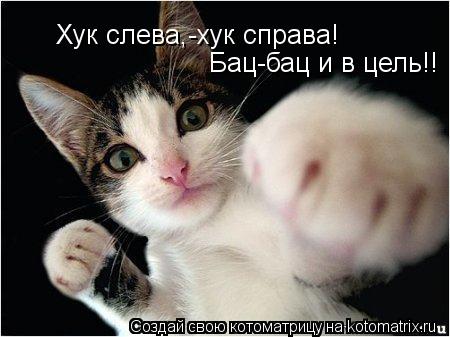 Хук слева,-хук справа! Бац-бац и в цель!!... Котоматрица: Хук слева,-хук справа! Бац-бац и в цель!!