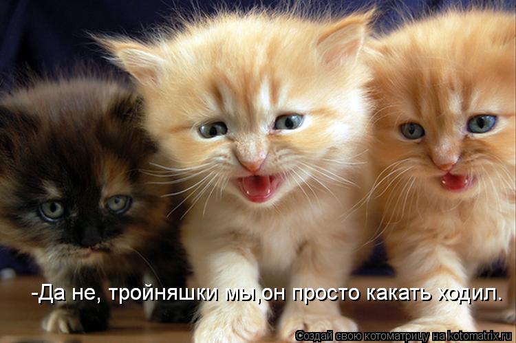 -Да не, тройняшки мы,он просто какать ходил. -Да не, тройняшки мы,он просто какать ходил.... Котоматрица: -Да не, тройняшки мы,он просто какать ходил. -Да не, тройняшки мы,он просто какать ходил.