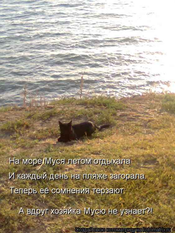На море Муся летом отдыхала И каждый день на пляже загорала. Теперь её сомнения терзают: А вдруг хоз... Котоматрица: На море Муся летом отдыхала И каждый день на пляже загорала. Теперь её сомнения терзают: А вдруг хозяйка Мусю не узнает?!