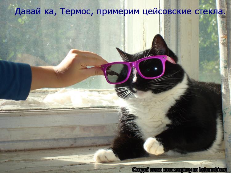 Давай ка, Термос, примерим цейсовские стекла. Давай ка, Термос, примерим цейсовские стекла.... Котоматрица: Давай ка, Термос, примерим цейсовские стекла. Давай ка, Термос, примерим цейсовские стекла.