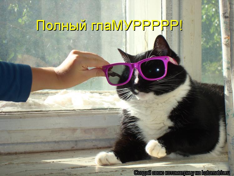 Полный глаМУРРРРР!... Котоматрица: Полный глаМУРРРРР!