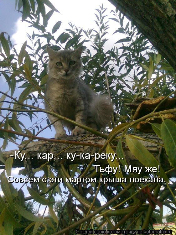 -Ку,.. кар,.. ку-ка-реку... Совсем с эти мартом крыша поехала. Тьфу! Мяу же!... Котоматрица: -Ку,.. кар,.. ку-ка-реку... Совсем с эти мартом крыша поехала. Тьфу! Мяу же!