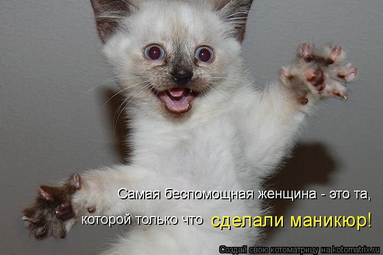 Самая беспомощная женщина - это та, Самая беспомощная женщина - это та, Самая беспомощная женщина - э... Котоматрица: Самая беспомощная женщина - это та, Самая беспомощная женщина - это та, Самая беспомощная женщина - это та, которой только что сделали маникю