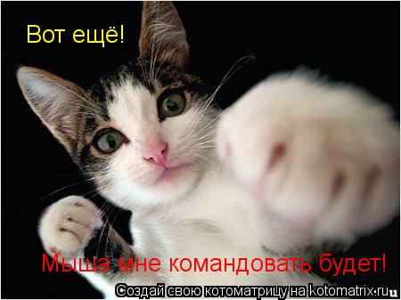 Вот ещё! Мыша мне командовать будет!... Котоматрица: Вот ещё! Мыша мне командовать будет!