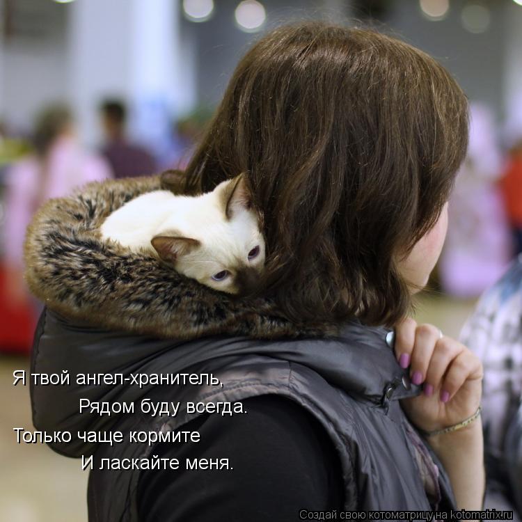 Я твой ангел-хранитель, Рядом буду всегда. Только чаще кормите И ласкайте меня. Только чаще кормите... Котоматрица: Я твой ангел-хранитель, Рядом буду всегда. Только чаще кормите И ласкайте меня. Только чаще кормите