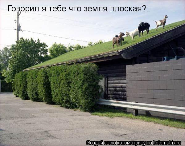 Говорил я тебе что земля плоская?..... Котоматрица: Говорил я тебе что земля плоская?..