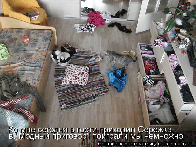 Ко мне сегодня в гости приходил Сережка, в "Модный приговор" поиграли мы немножно... Котоматрица: Ко мне сегодня в гости приходил Сережка, в "Модный приговор" поиграли мы немножно