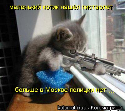 маленький котик нашёл пистаолет больше в Москве полиции нет ...... Котоматрица: маленький котик нашёл пистаолет больше в Москве полиции нет ...