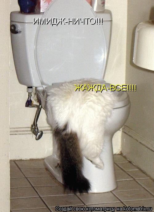 ИМИДЖ-НИЧТО!!! ЖАЖДА-ВСЕ!!!!... Котоматрица: ИМИДЖ-НИЧТО!!! ЖАЖДА-ВСЕ!!!!