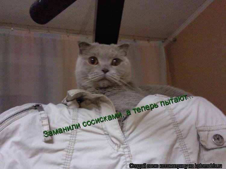 Заманили сосисками, а теперь пытают...... Котоматрица: Заманили сосисками, а теперь пытают...