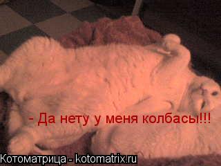 - Да нету у меня колбасы!!!... Котоматрица: - Да нету у меня колбасы!!!