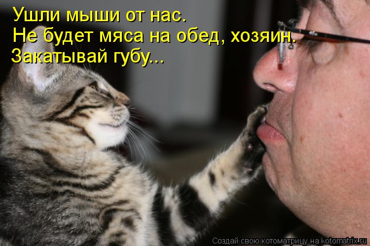 Котоматрица: Ушли мыши от нас. Не будет мяса на обед, хозяин. Закатывай губу...