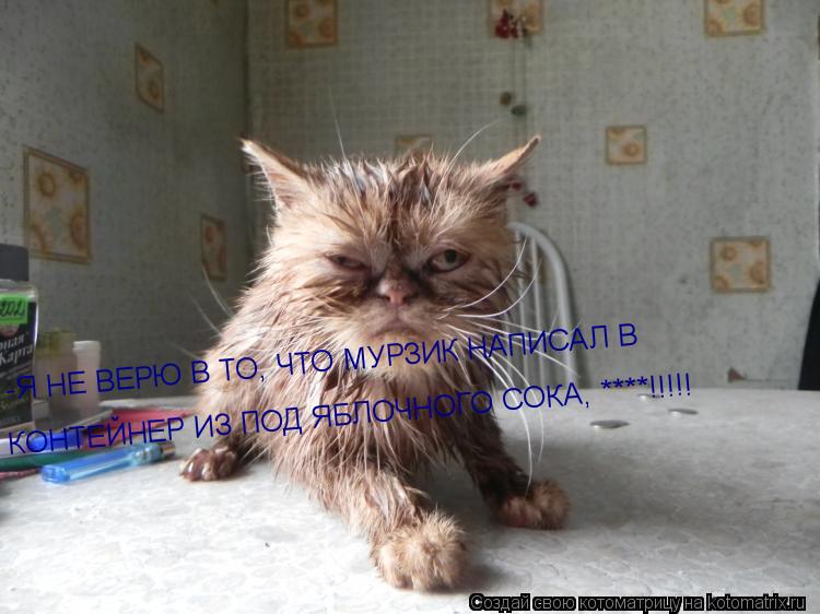 -Я НЕ ВЕРЮ В ТО, ЧТО МУРЗИК НАПИСАЛ В КОНТЕЙНЕР ИЗ ПОД ЯБЛОЧНОГО СОКА, ****!!!!!... Котоматрица: -Я НЕ ВЕРЮ В ТО, ЧТО МУРЗИК НАПИСАЛ В КОНТЕЙНЕР ИЗ ПОД ЯБЛОЧНОГО СОКА, ****!!!!!