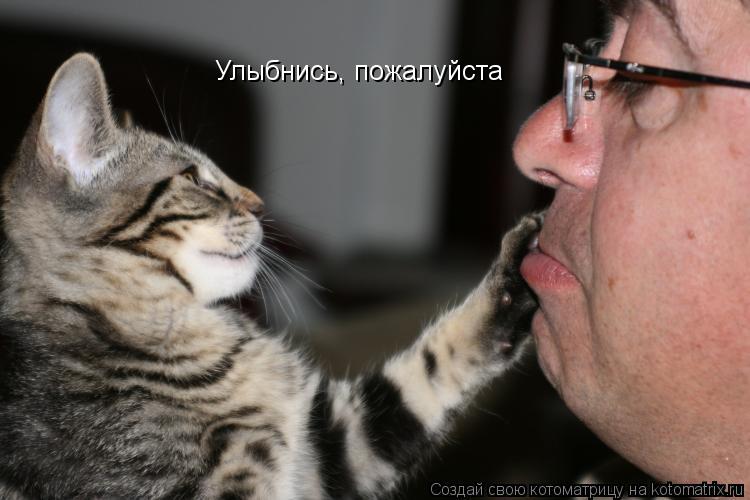 Улыбнись, пожалуйста... Котоматрица: Улыбнись, пожалуйста